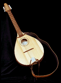 Photo of Cittern - first instrument to be made with steel strings